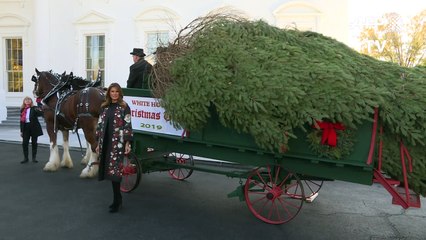 O Natal começa a chegar à Casa Branca