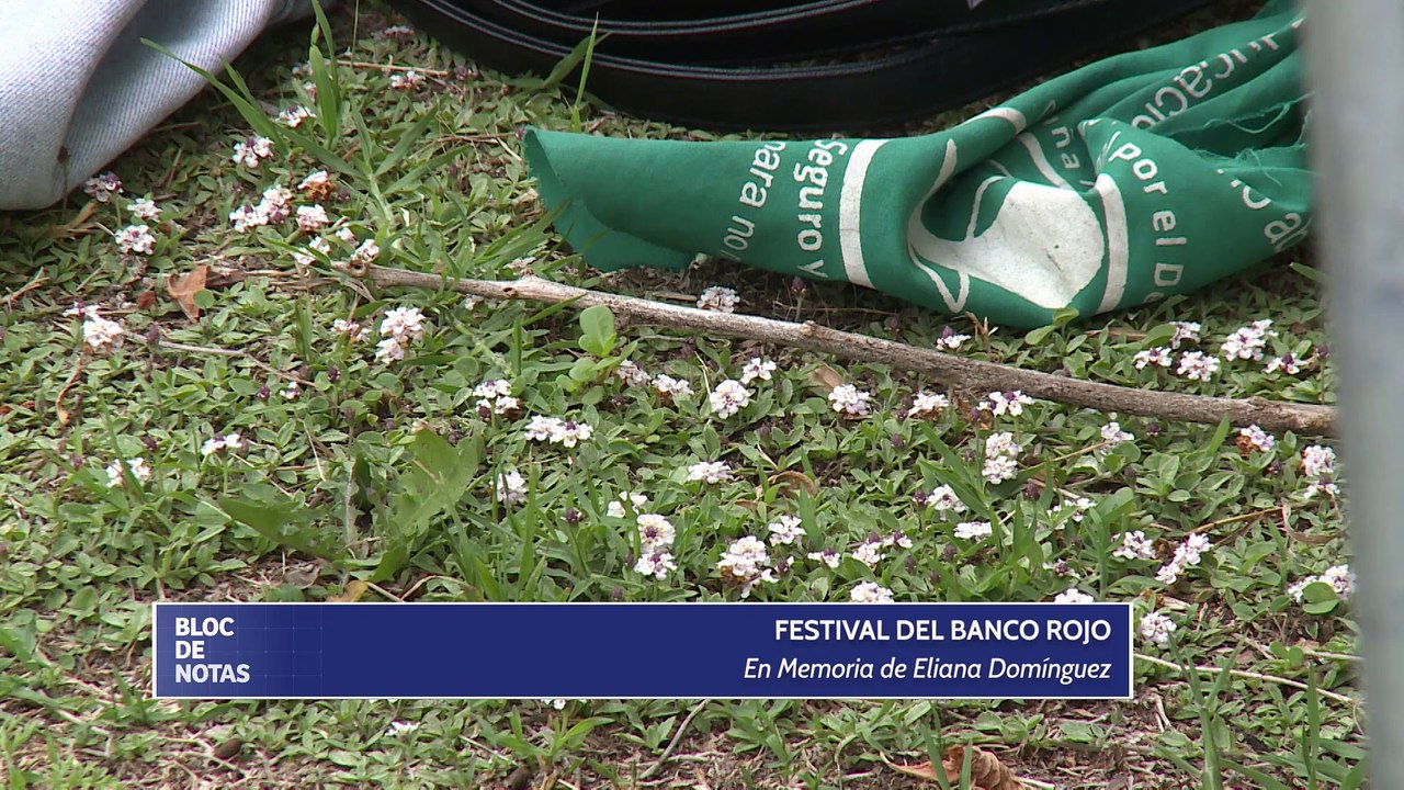 Festival del Banco Rojo, en memoria de Eliana Dominguez - Escuela Superior de Medicina - UNMdP