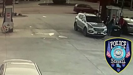 Sa voiture recule à cause de son chien qui a met le marche arrière