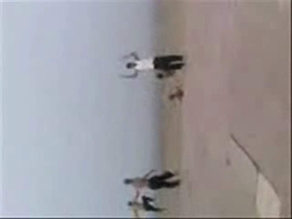 Ninja