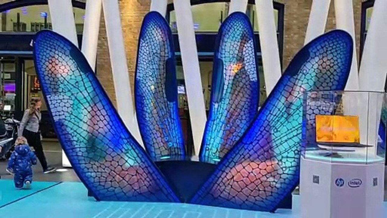 HP Dragonfly