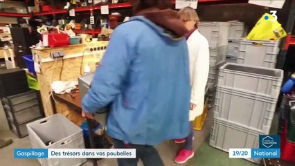 Gaspillage : des trésors dans vos poubelles