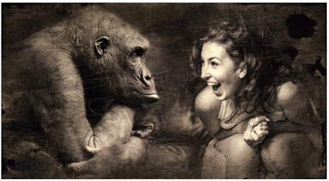 Publicidad: los 6 anuncios de televisión más graciosos