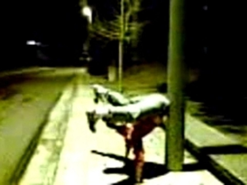 Invert al palo