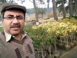 My Sunday with Plants in Abbottabad Vlog Dr Raja Kashif Janjua