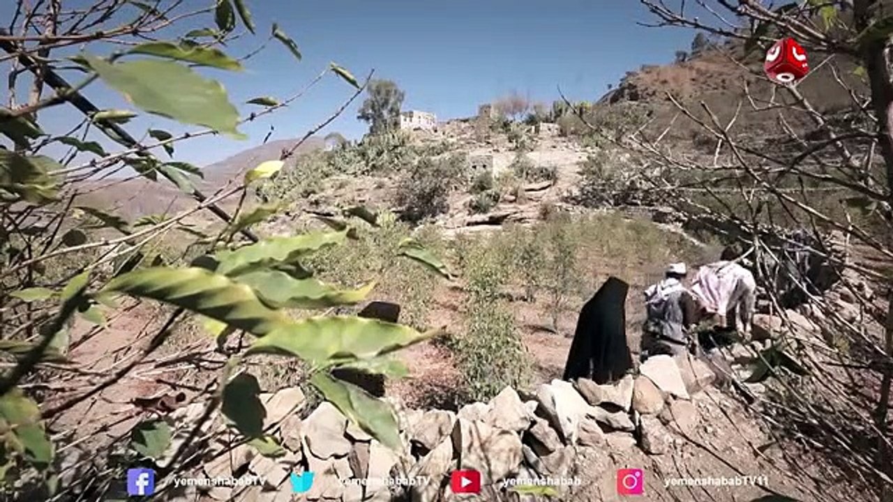 غربة البن | الحلقه 2