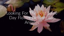 Same Day Flower Delivery Los Angeles CA - Send Flowers | 213-908-1591