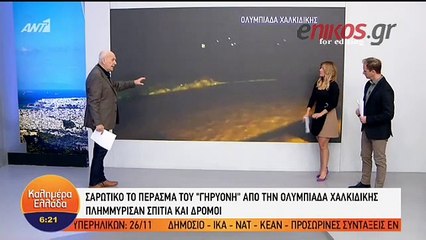Γουρούνι κυνηγάει τον ρεπόρτερ του Παπαδάκη
