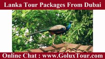 Lanka Tour Packages From Dubai