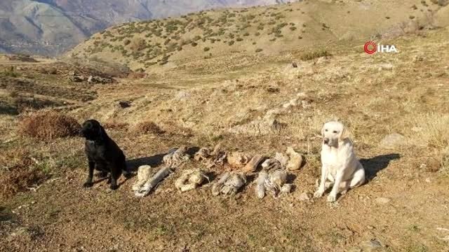 Bitlis'te ele geçirilen 8 adet EYP böyle imha edildi