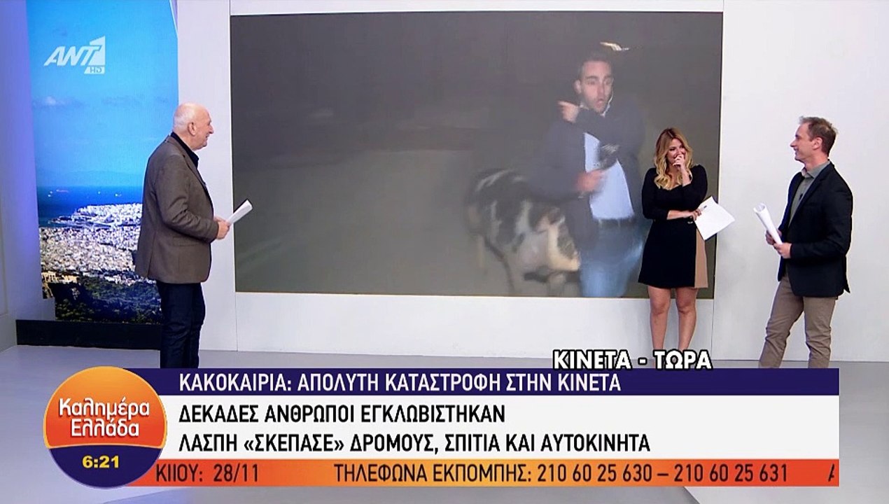 Καλημέρα Ελλάδα: Γουρούνι κυνηγούσε τον ρεπόρτε...