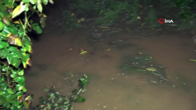 Kemer'de şiddetli yağış sonrası evleri su bastı, araçlar sele kapıldı