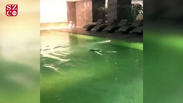 Hülya Avşar'ın havuz keyfi