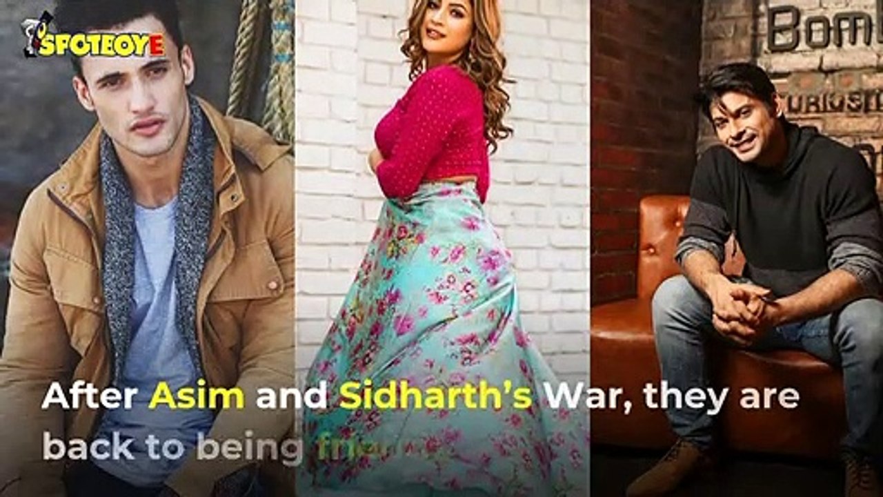 Bigg Boss 13 Asim Riaz And Shehnaaz Gill Have A Crazy Fight