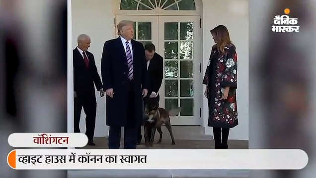ट्रम्प ने उस डॉग का व्हाइट हाउस में स्वागत किया जिसने बगदादी को खोजने में अहम भूमिका निभाई थी