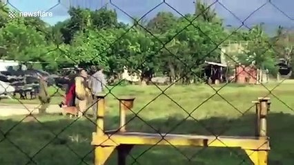 British businessman and Filipino wife board helicopter after being rescued from ISIS-linked militants