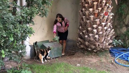 Ataşehir’de lüks sitede 'kedi evi' tartışması