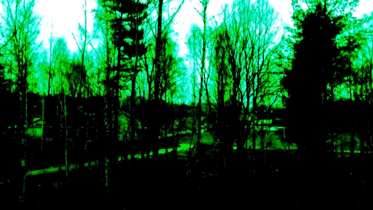 Nov 14 2019 DL8