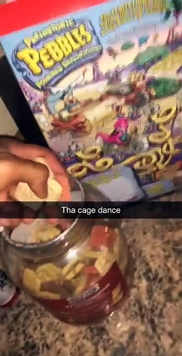 Cet homme a découvert une nouvelle stratégie efficace pour faire entrer facilement ses animaux de compagnie dans leur cage.