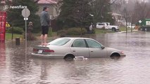 Stranded driver stands barefoot on car roof during floods in Kitchener, Canada