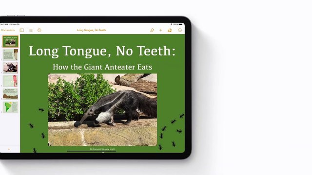 Comment publier dans Apple Books à partir de Pages sur iPhone, iPad et iPod touch — Apple Support