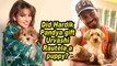 Did Hardik Pandya gift Urvashi Rautela a puppy?