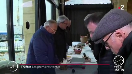 Dordogne : premières ventes de truffes