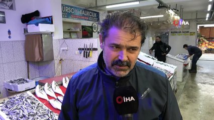 Mezgit fiyatı rekora koşuyor