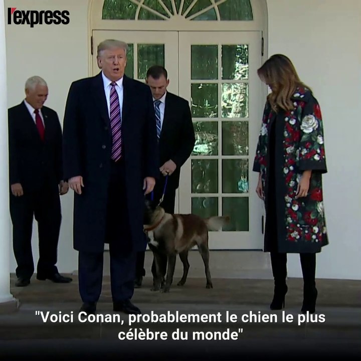 Conan, le chien de l'armée américaine, décoré par Donald Trump