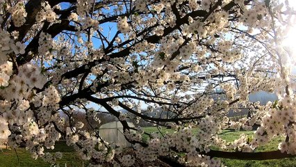 GoPro hero 7 black unedited short clip