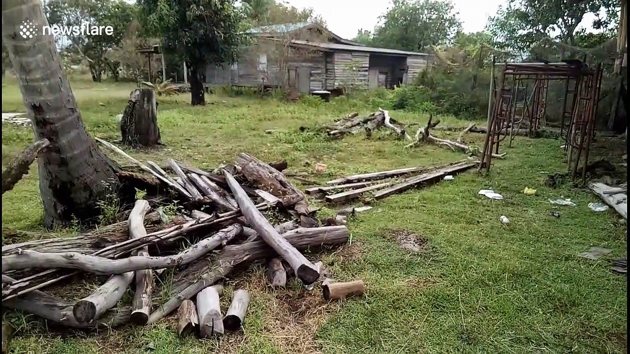 Unique house in Malaysia is made from fallen tree branches