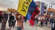 Descerebrada influencer colombiana se graba destruyendo el Transmilenio y termina en prisión