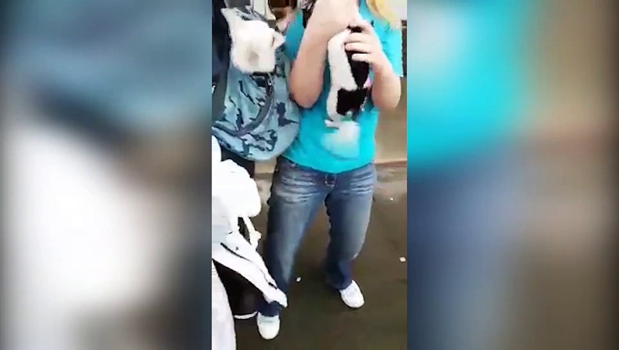 Emotional moment stolen chihuahua Tinkerbell is reunited with Edinburgh owner