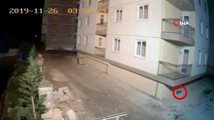 - Depremi Hisseden Kedi Böyle Kaçtı