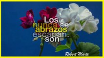  BUENOS DÍAS! _ Frases bonitas y lindas PARA TI (ABRELO)