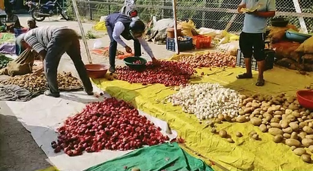 मप्र में भी लोगों को रुला रहा प्याज, दाम पहुंचे आसमान पर