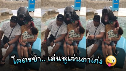 3 ชอต 3 แอค !! เมื่อแมวน้ำ รับจ๊อบพิเศษ บริการถ่ายรูปคู่กับนักท่องเที่ยว