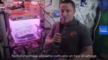 Ask Our Astronaut | Luca Parmitano risponde: quali piante crescono meglio nello spazio?