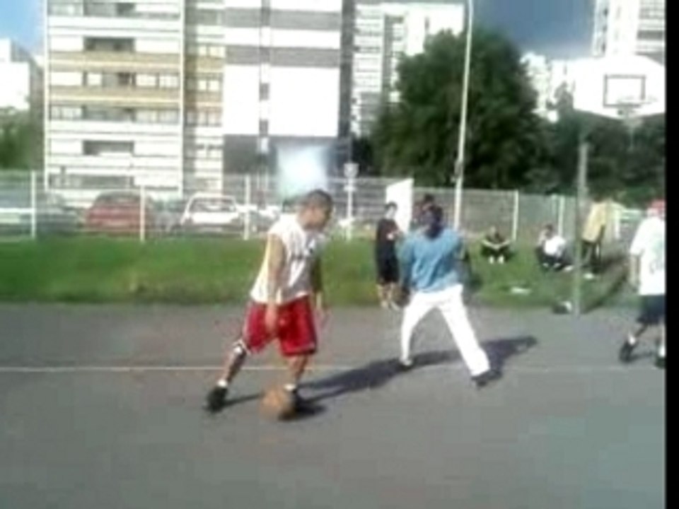 Basket Levriere