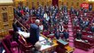 Minute de silence au Sénat après la mort de 13 militaires français au Mali