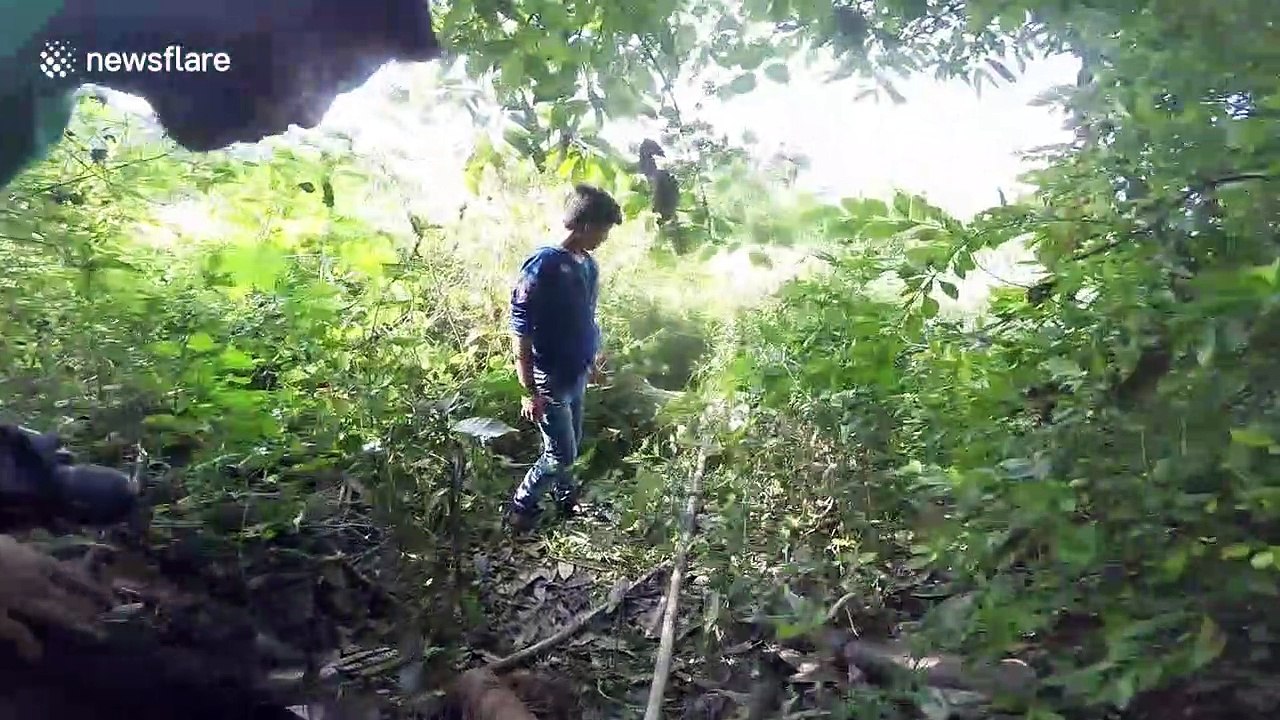 Puppy rescued after falling down 20ft-deep sewer in west India