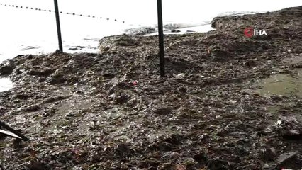 Marmaris'te yağış ve fırtınanın izleri siliniyor