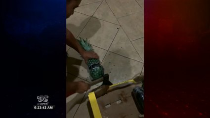 Más de 200 de droga camuflada en el interior de una piña fueron decomisadas en el Puerto de Guayaquil