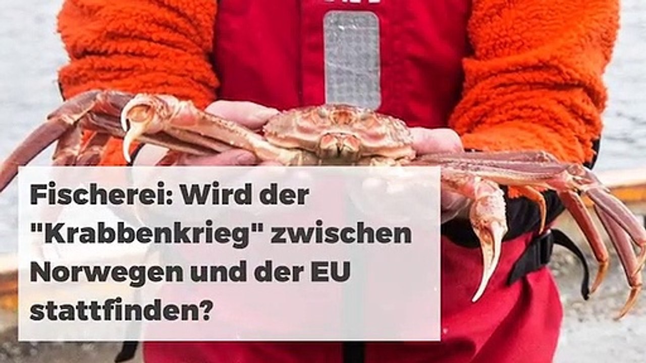 NACHRICHTEN NACHRICHTEN DER WOCHE 26112019