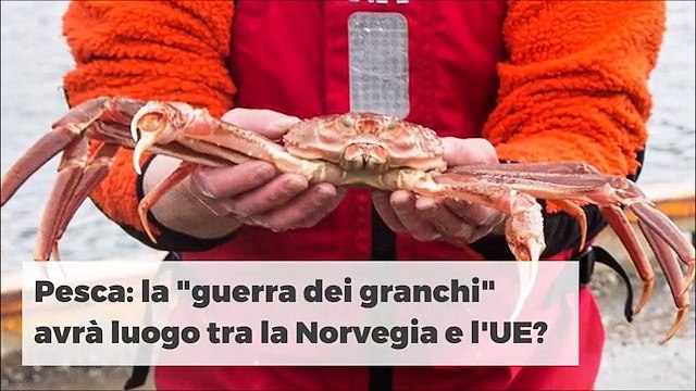 NOVITÀ NOVITÀ DELLA SETTIMANA 26112019