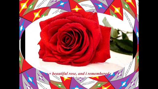 Today I saw a rose, and I remembered your smile! [Quotes and Poems]