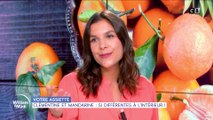 Clémentine et mandarine : si différentes à l'intérieur !