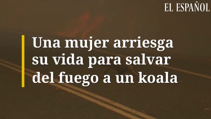 Una mujer arriesga su vida para salvar del fuego a un koala