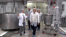İstanbul'da süt ve süt ürünleri işletmelerine denetim