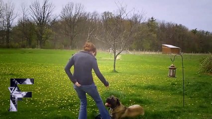 Animals Can Be Jerks - Best Funny Compilation!